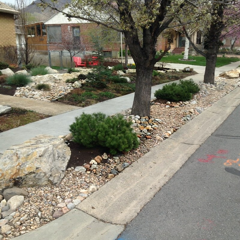 Recent parking strip transformation