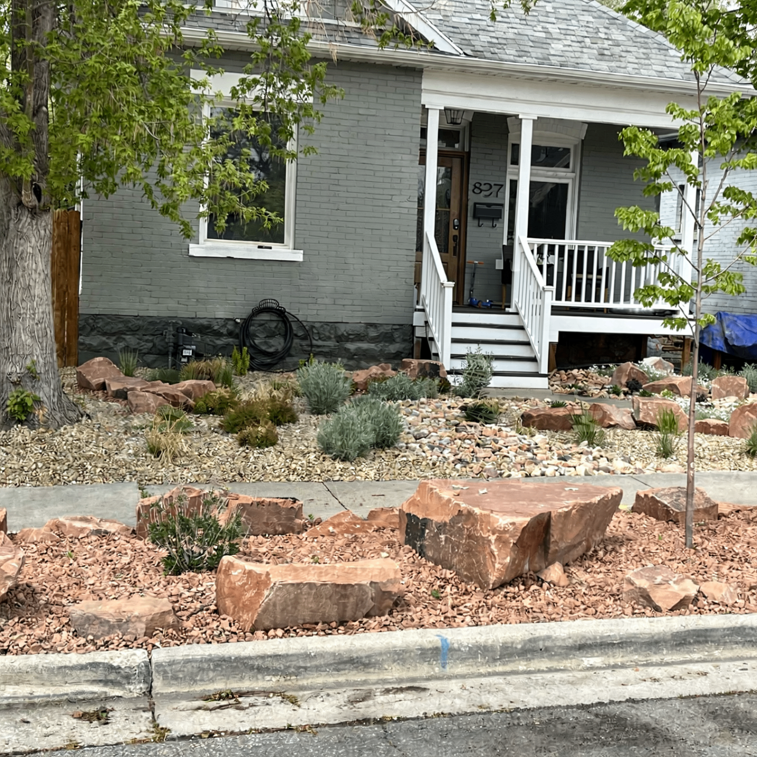 Recent parking strip transformation